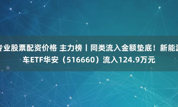 专业股票配资价格 主力榜丨同类流入金额垫底!新能源车ETF华安(516660)流入124.9万元